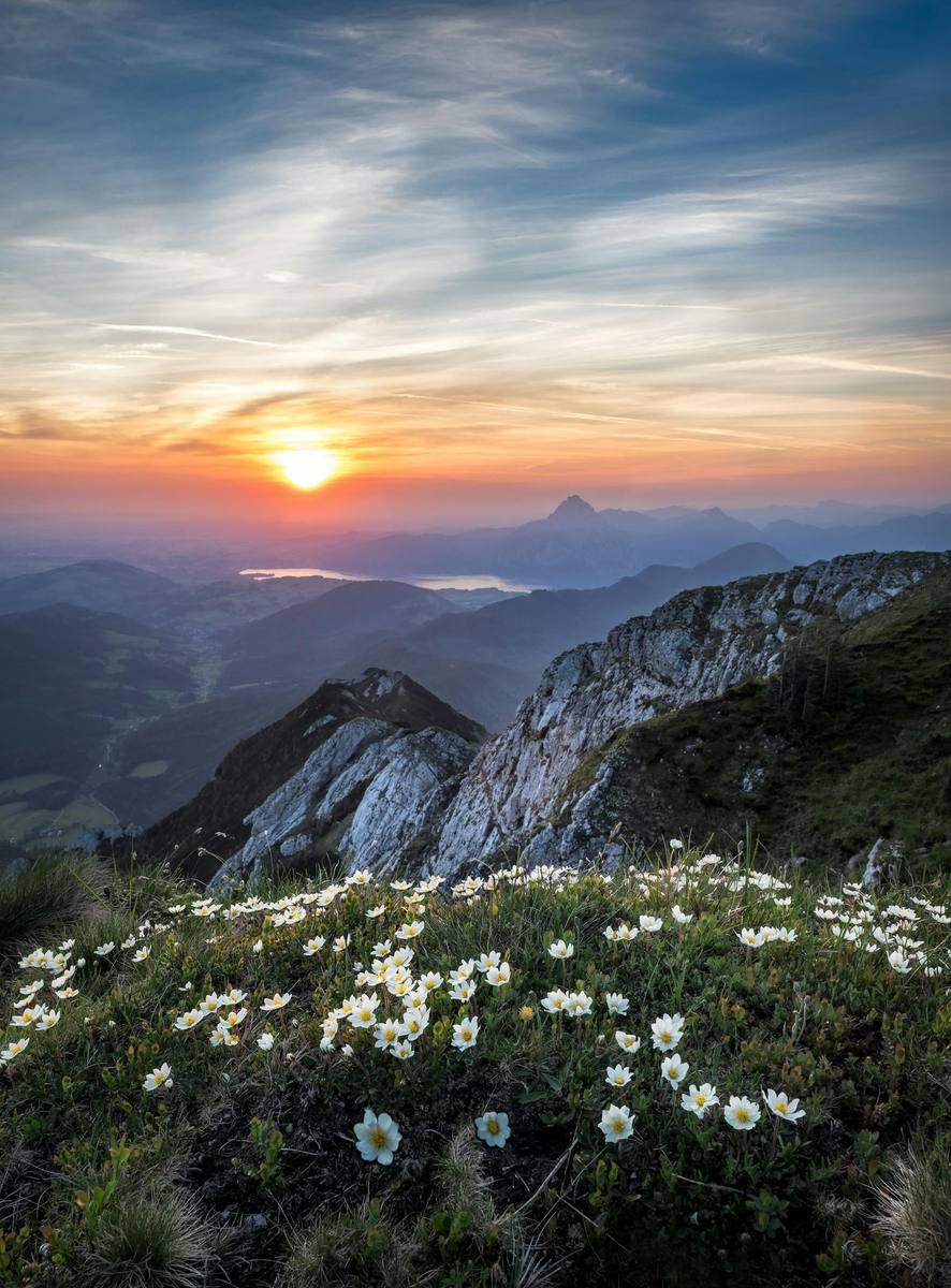 MCPA spring art gallery showcase