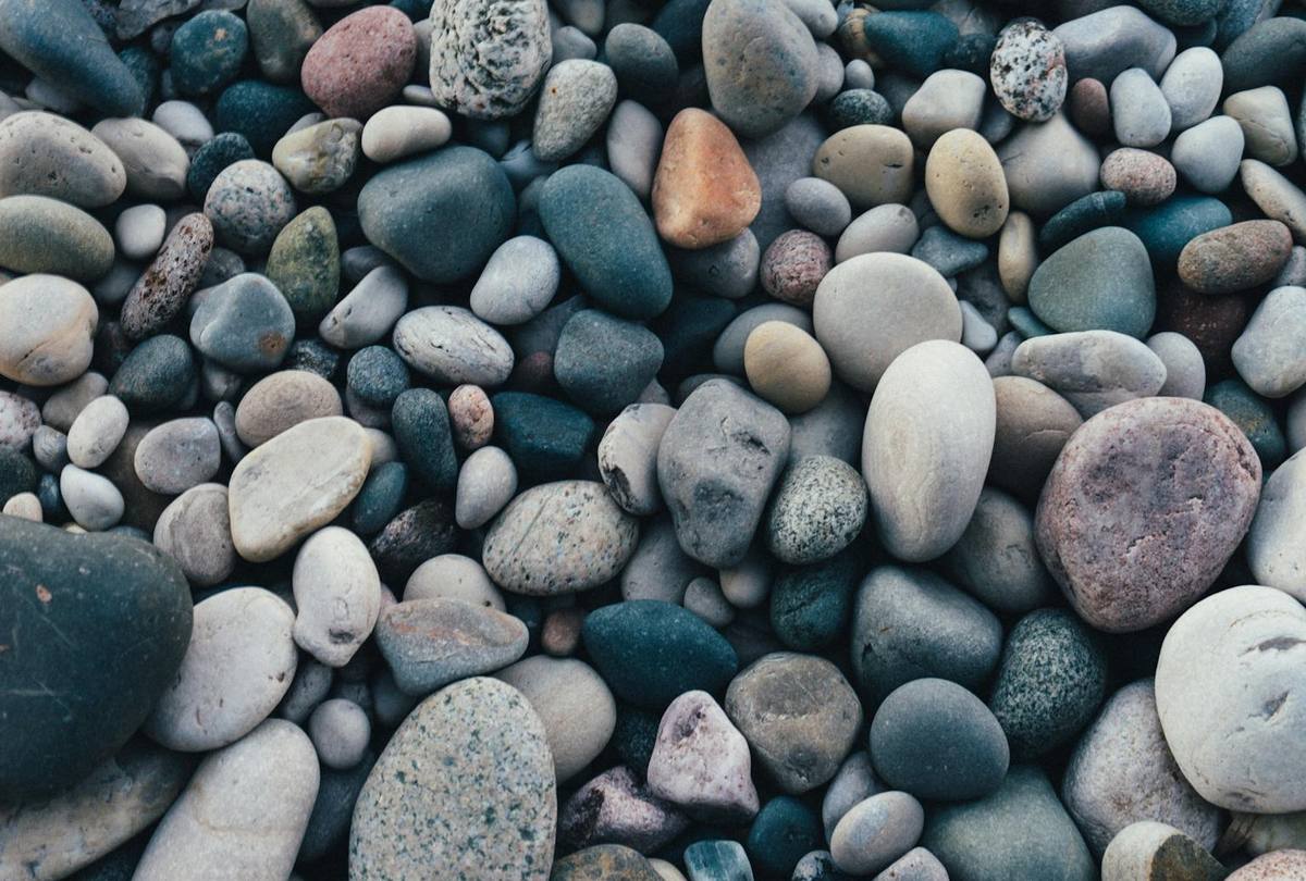 Group on a summer outing